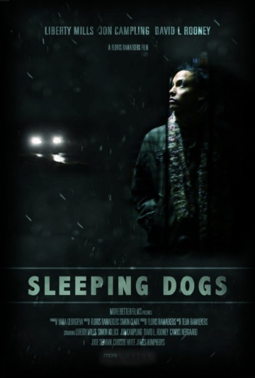 Sleeping Dogs | 2013