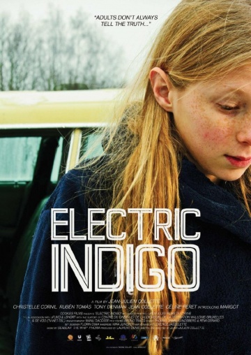 Electric Indigo | 2013