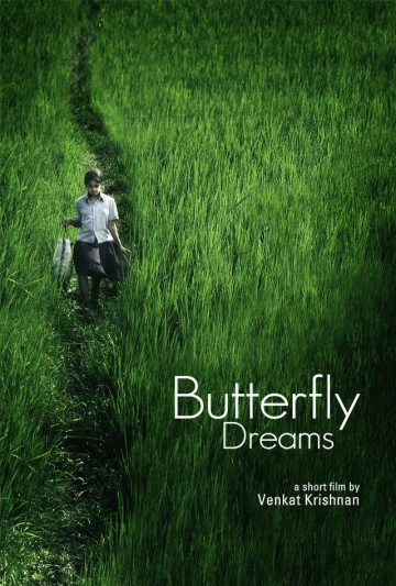 Butterfly Dreams | 2013