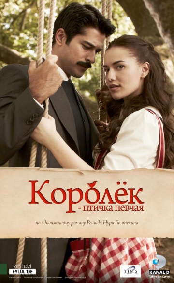 Королёк – птичка певчая | 2013