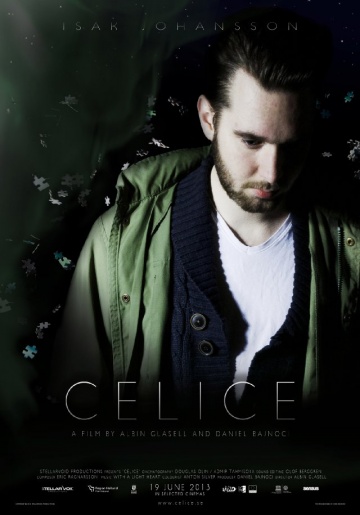 Celice | 2013