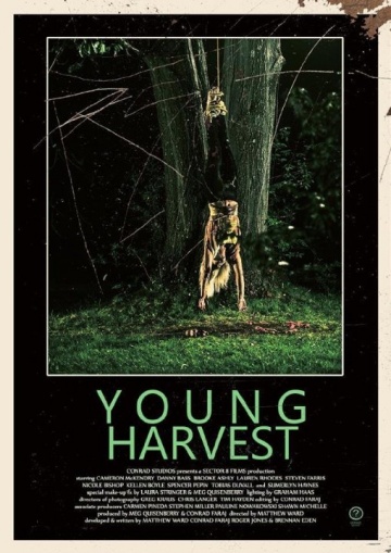 Young Harvest | 2013