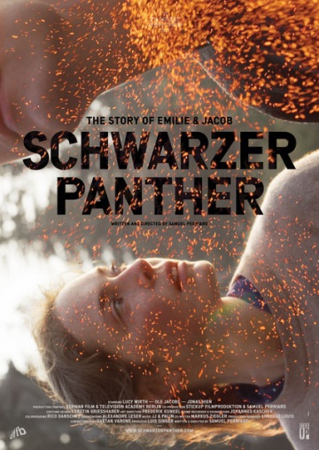 Schwarzer Panther | 2013