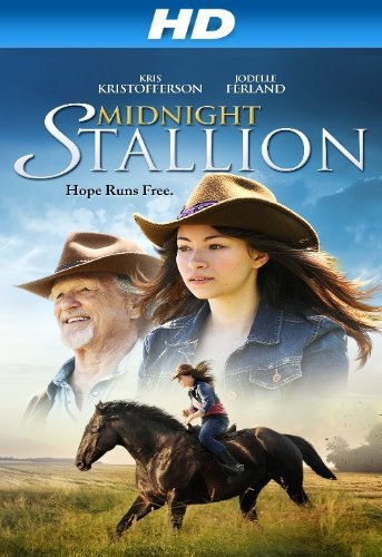 Midnight Stallion | 2013